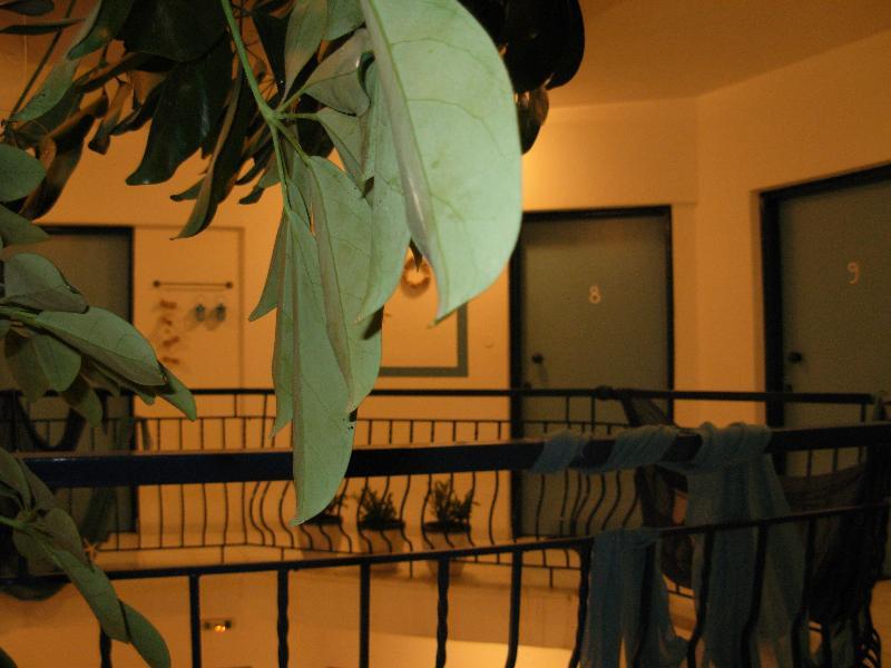 Anemos Hotel Полихроно Экстерьер фото